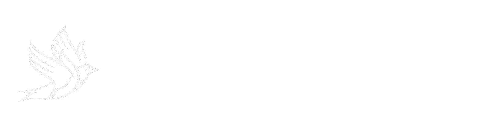 Oltin Qanot Namangan